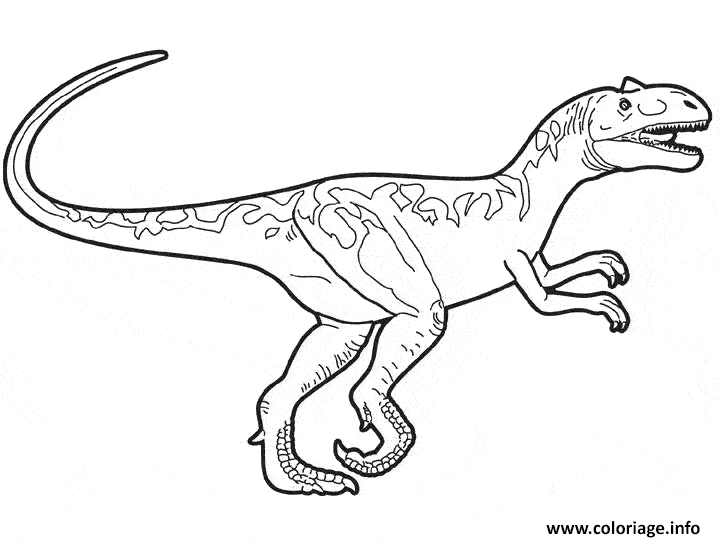 Dessin dinosaure 13 Coloriage Gratuit à Imprimer