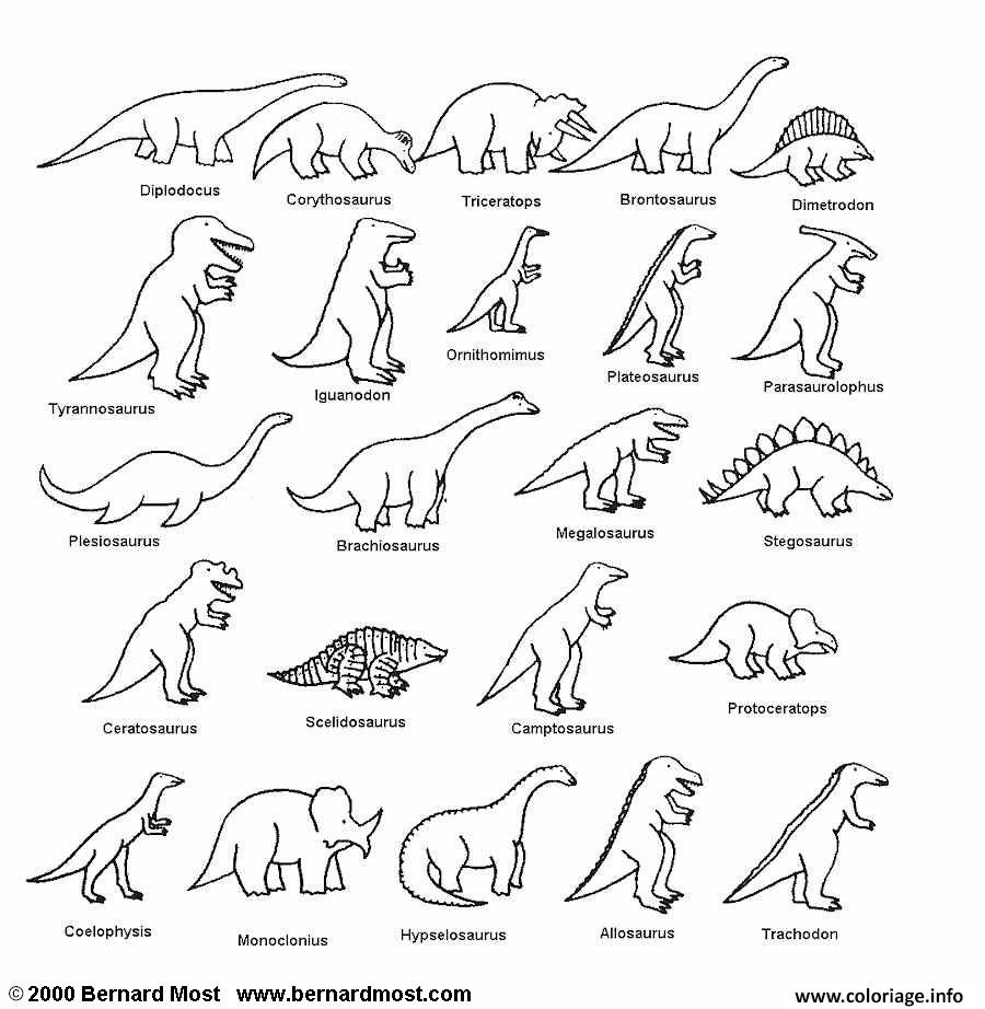 Dessin liste des dinosaures Coloriage Gratuit à Imprimer