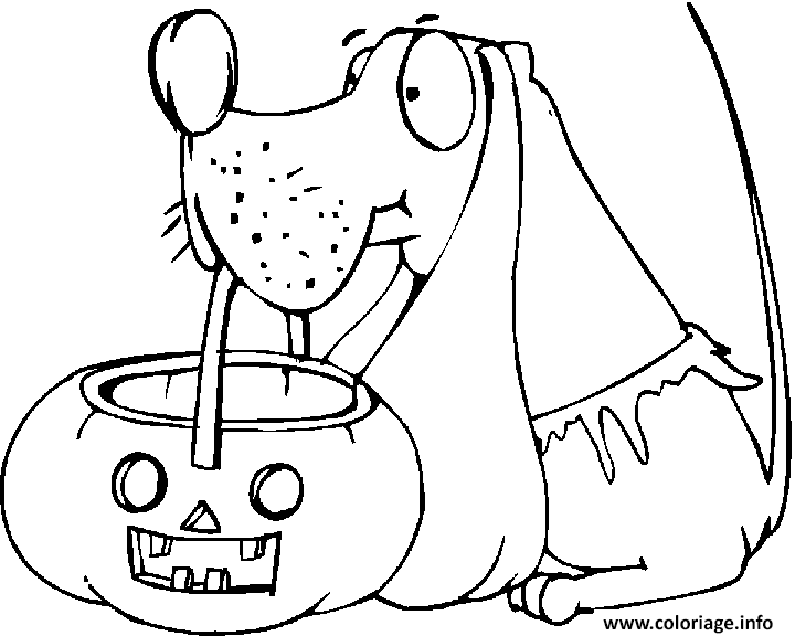 Coloriage Un Chien Avec Sa Citrouille D Halloweeny Pour Avoir Des Os