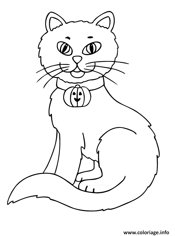 chat halloween coloriage