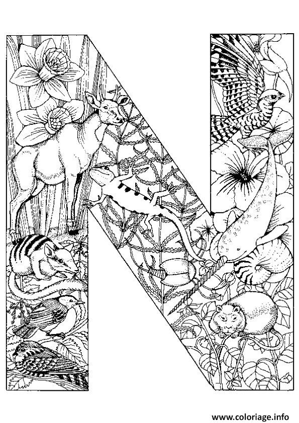 Dessin lettre n alphabet animaux Coloriage Gratuit à Imprimer