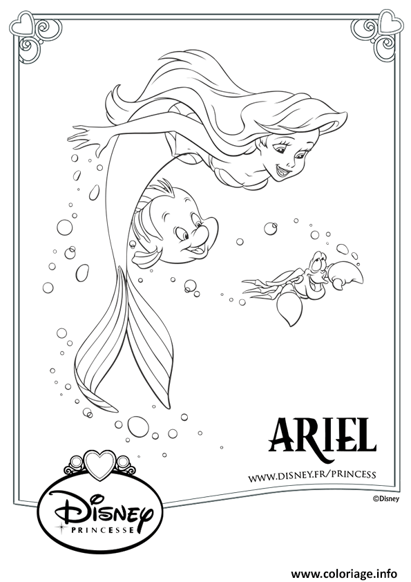 Dessin princesse disney ariel polochon Coloriage Gratuit à Imprimer