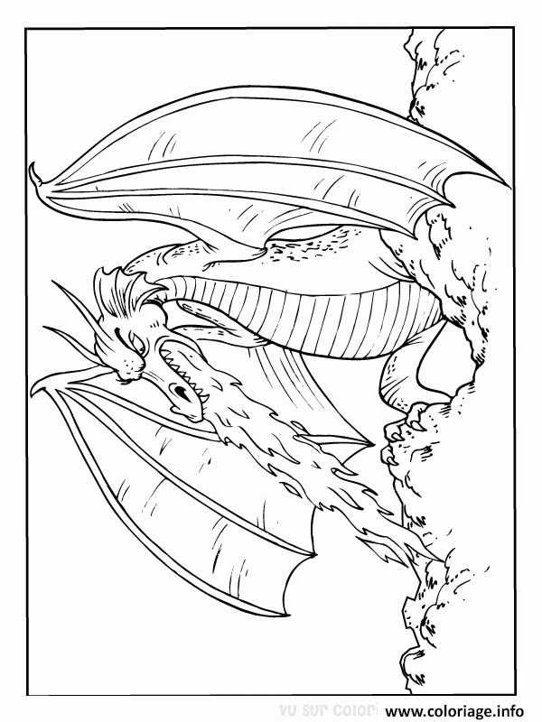 Dessin dragon 182 Coloriage Gratuit à Imprimer