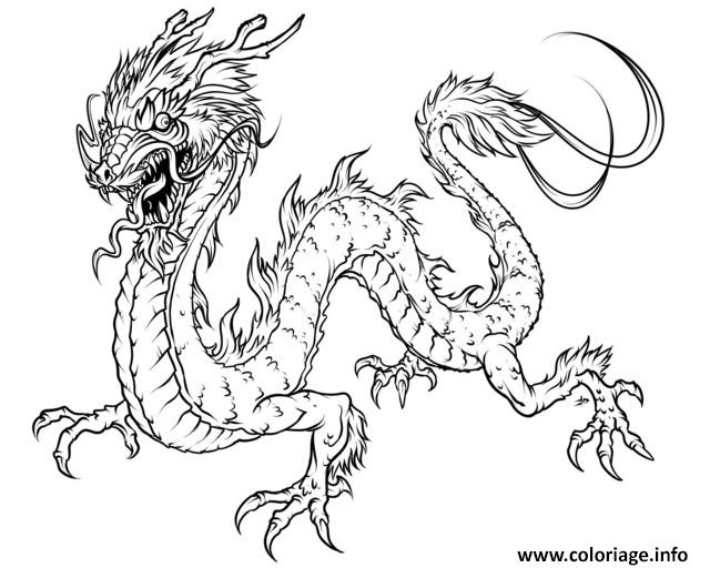 Coloriage Dragon 5 Dessin à Imprimer