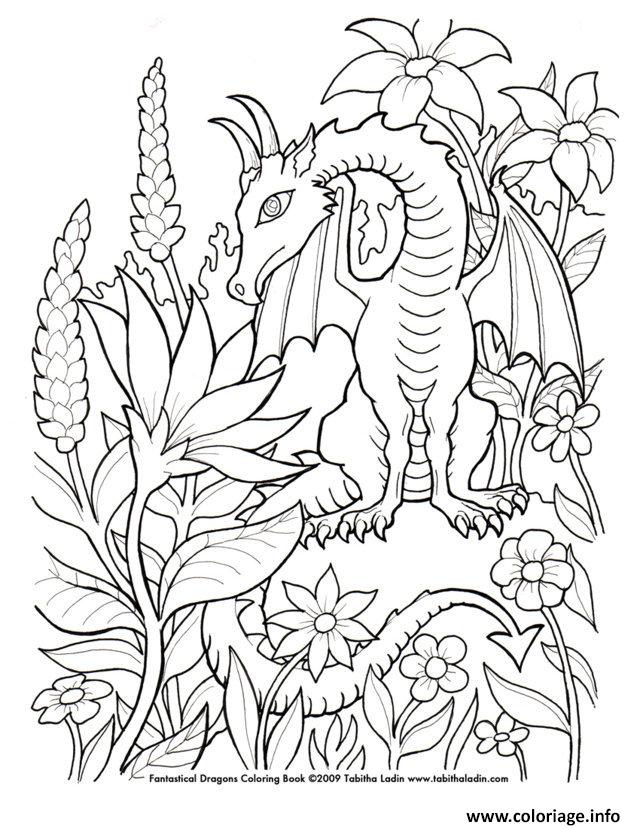 Coloriage Dragon 234 Dessin à Imprimer