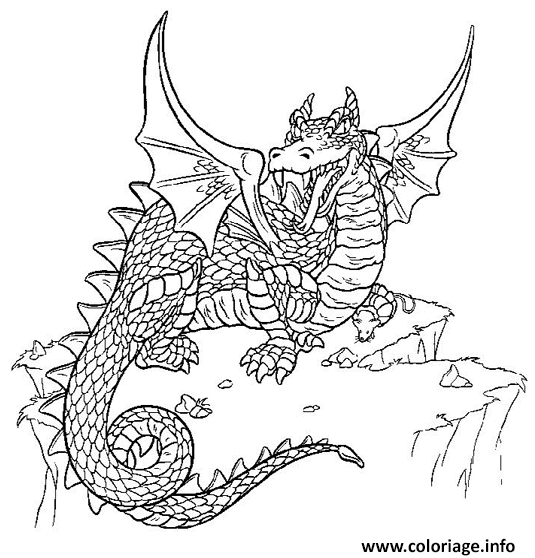 Coloriage Dragon Dessin à Imprimer