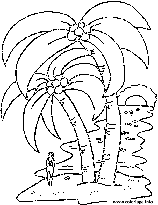 Dessin palmier 2 jolies palmiers Coloriage Gratuit à Imprimer