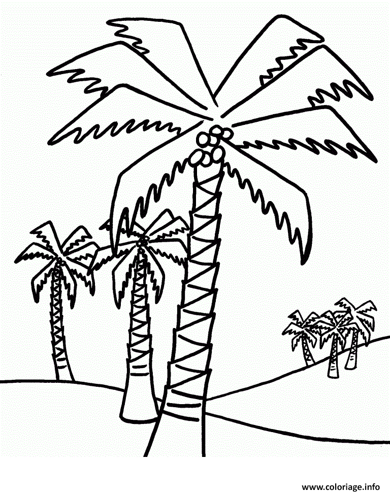 Dessin palmier plusieurs palmiers Coloriage Gratuit à Imprimer