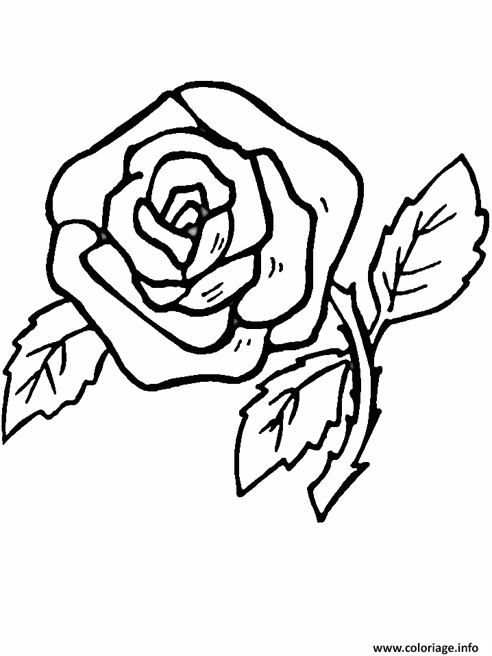 Dessin fleur rose Coloriage Gratuit à Imprimer