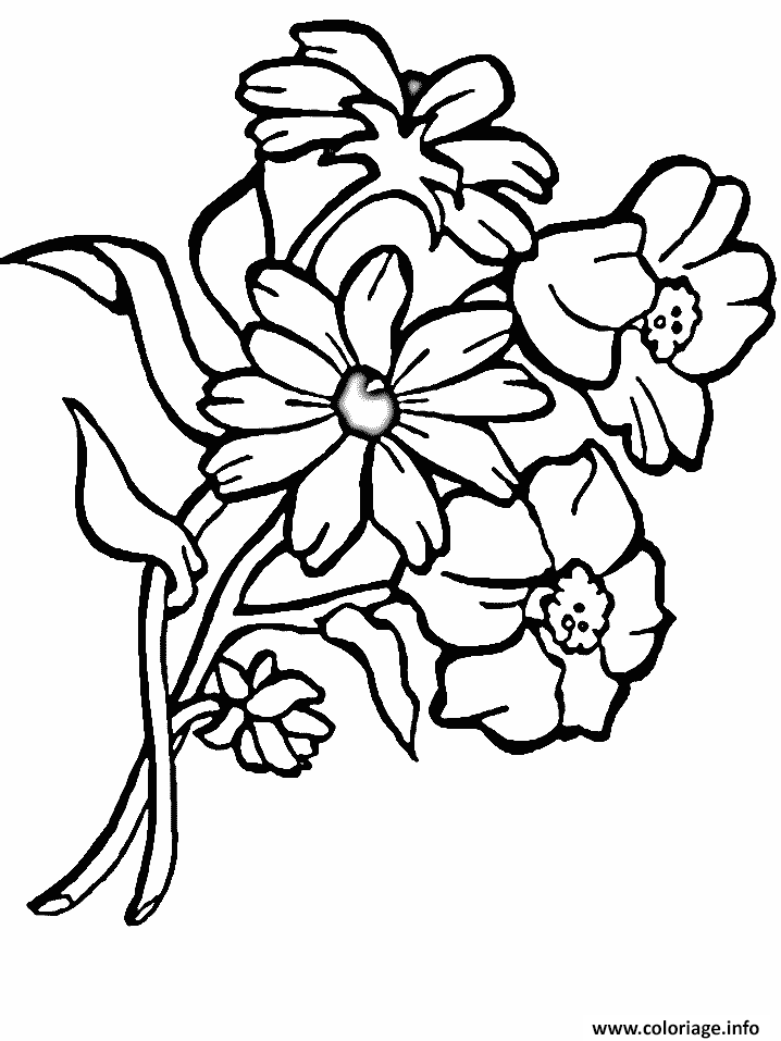 Dessin bouquet de fleurs sauvages Coloriage Gratuit à Imprimer