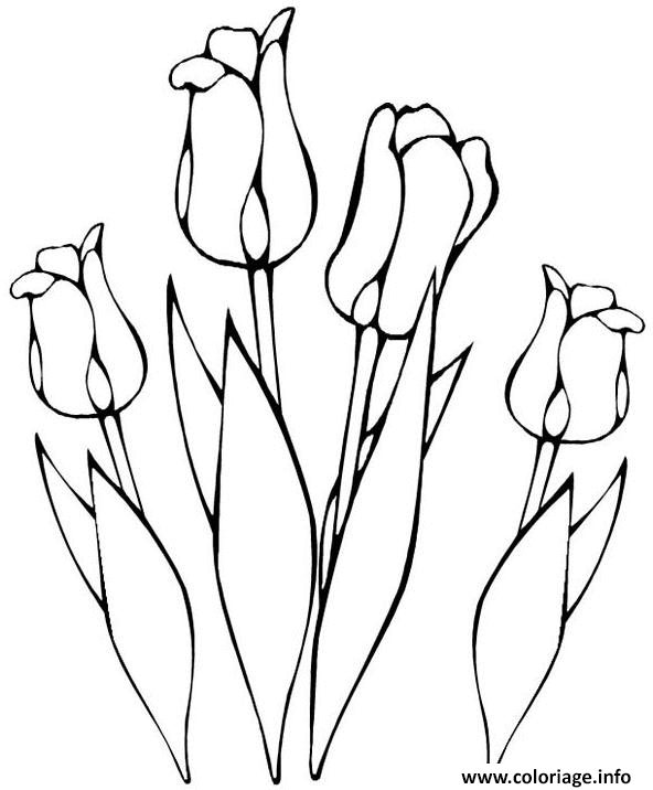 Coloriage Bouquet De Tulipes Dessin à Imprimer