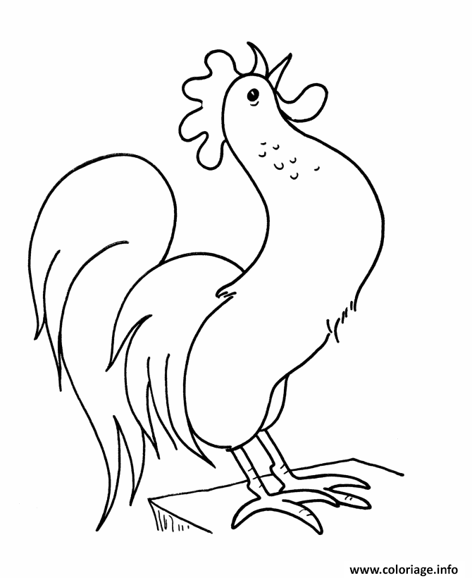 Dessin cock facile 67 Coloriage Gratuit à Imprimer