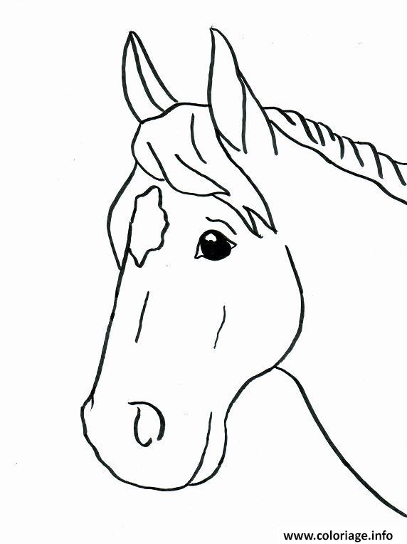 Coloriage Cheval Facile 46 dessin