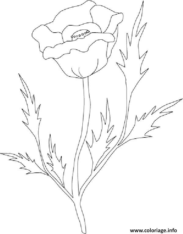 Dessin roses 149 Coloriage Gratuit à Imprimer