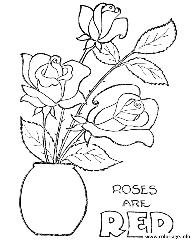Dessin roses 114 Coloriage Gratuit à Imprimer