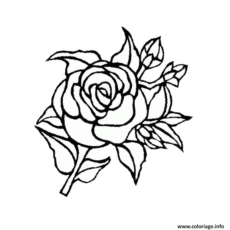Coloriage Roses 115 Dessin à Imprimer
