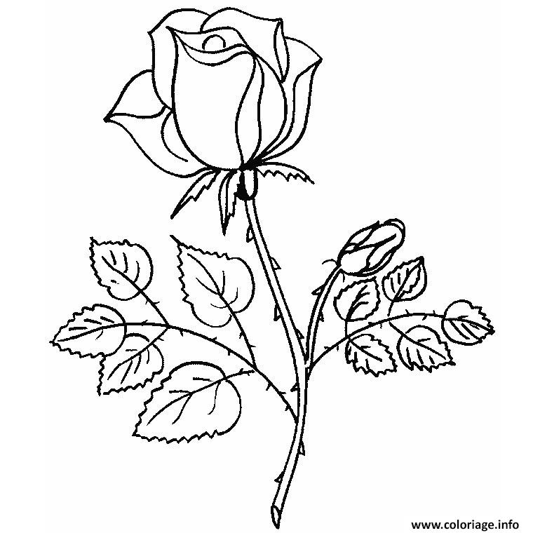 Dessin belle rose amour Coloriage Gratuit à Imprimer