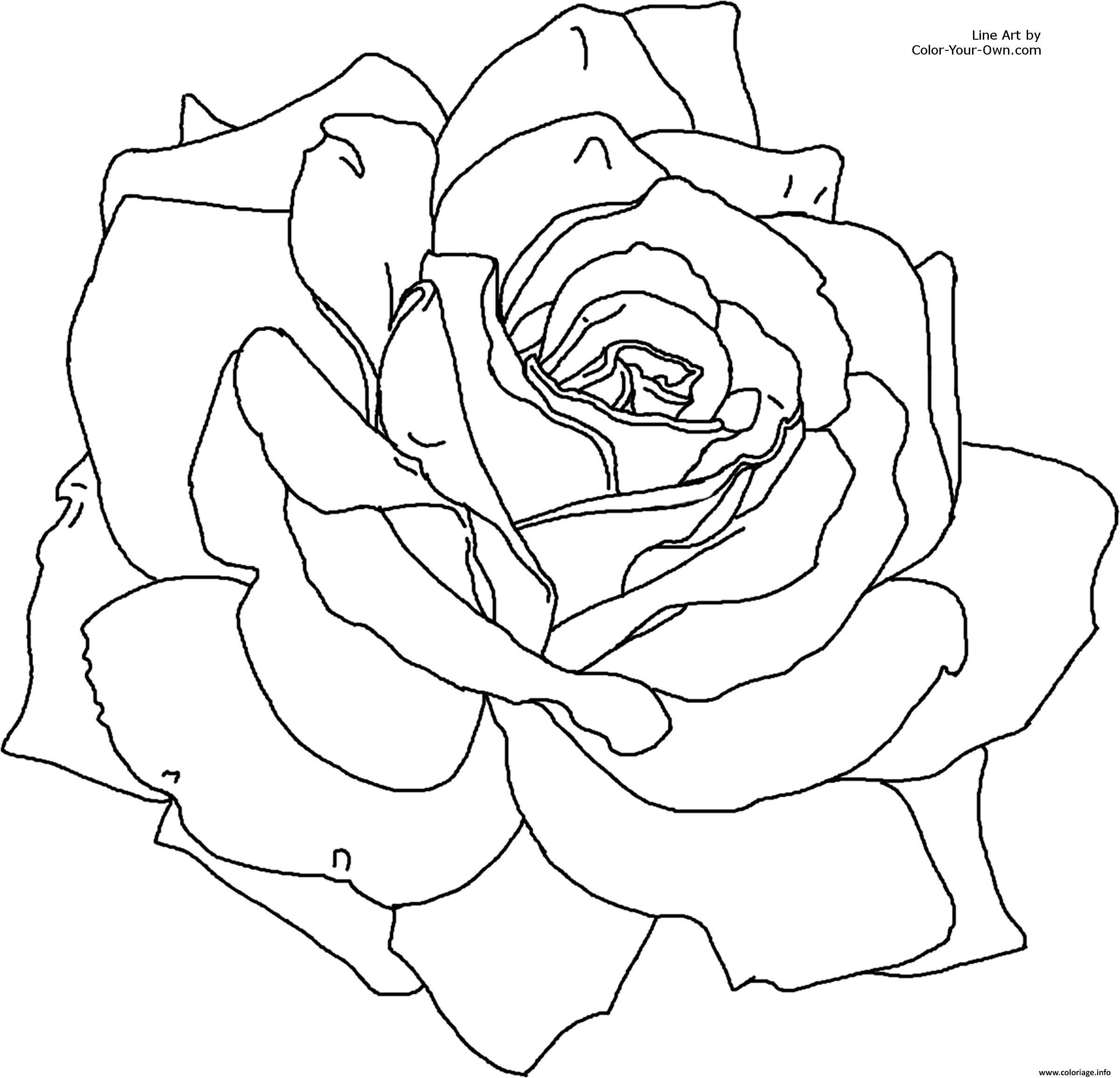 Coloriage Roses 6 Dessin Rose à imprimer