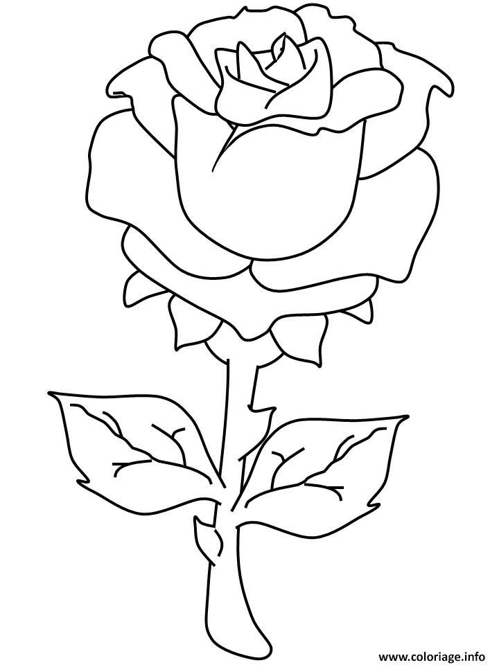 Dessin roses 71 Coloriage Gratuit à Imprimer