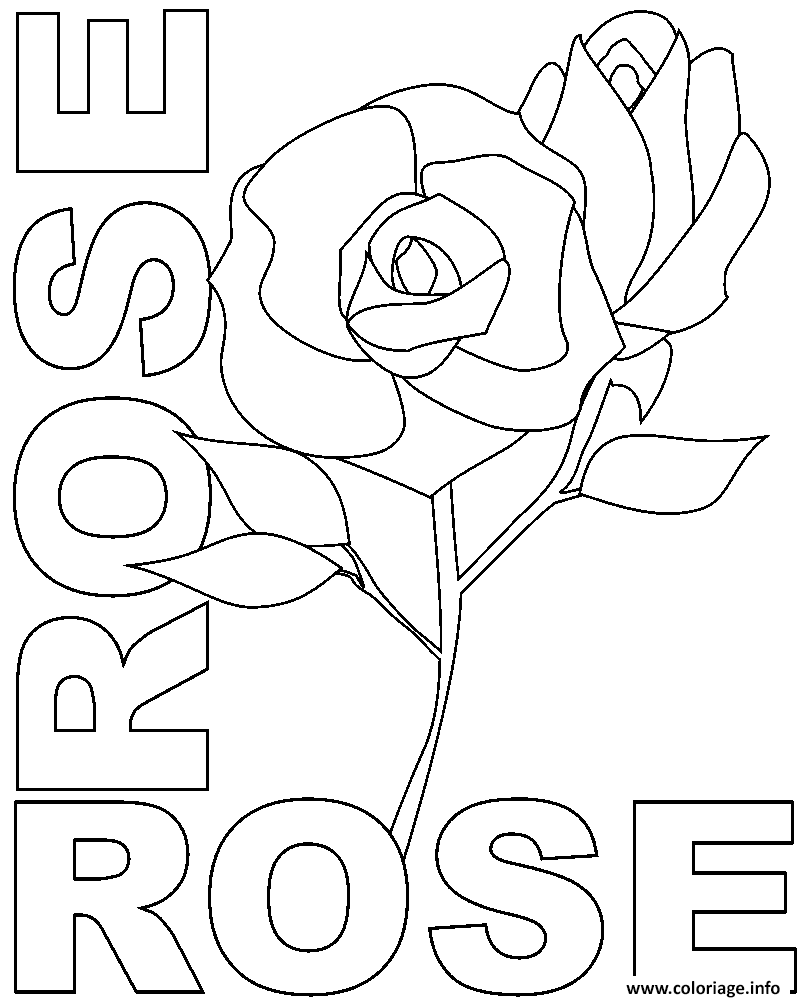 Coloriage rose rose - JeColorie.com