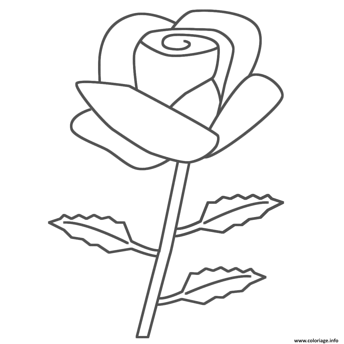 Coloriage Roses 19 Dessin à Imprimer