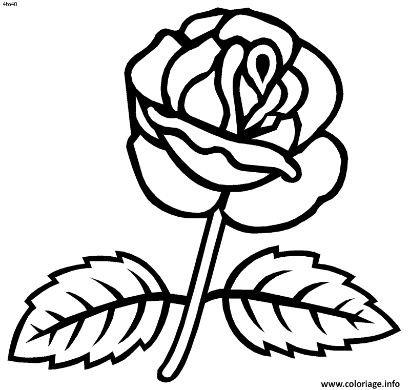 Coloriage Rose Enfant Dessin Rose A Imprimer