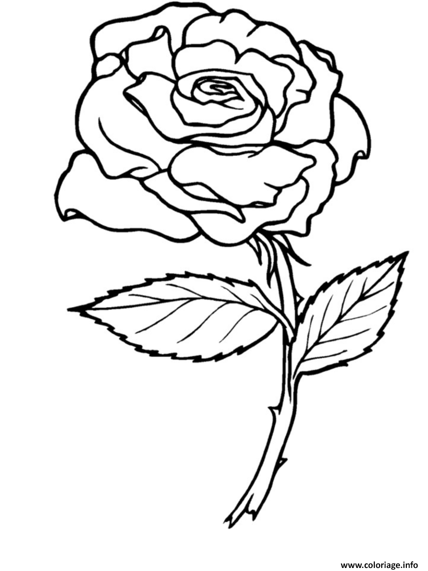 Dessin roses 2 Coloriage Gratuit à Imprimer