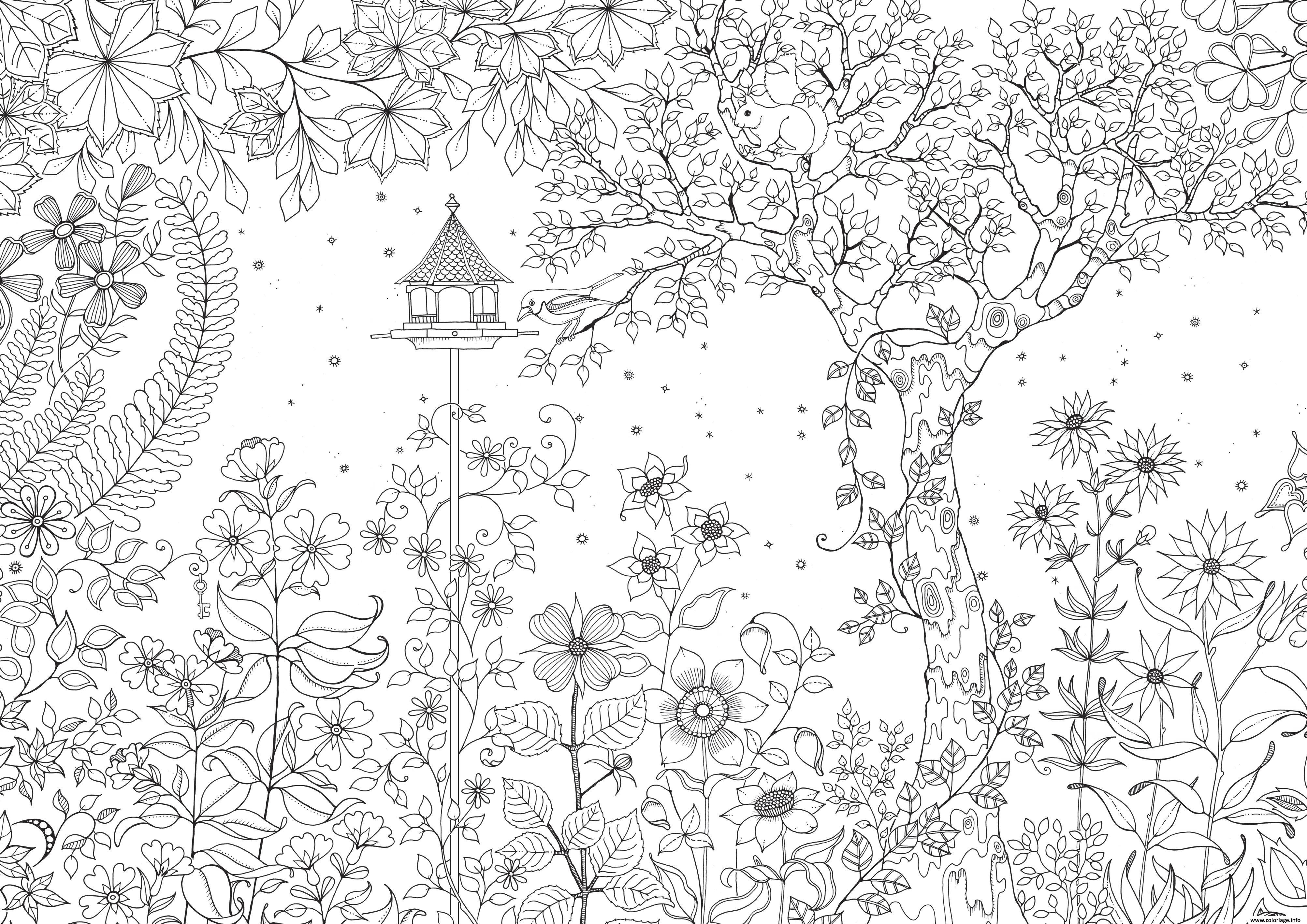 Coloriage Adulte Nature Zen Anti Stress Dessin Adulte à ...