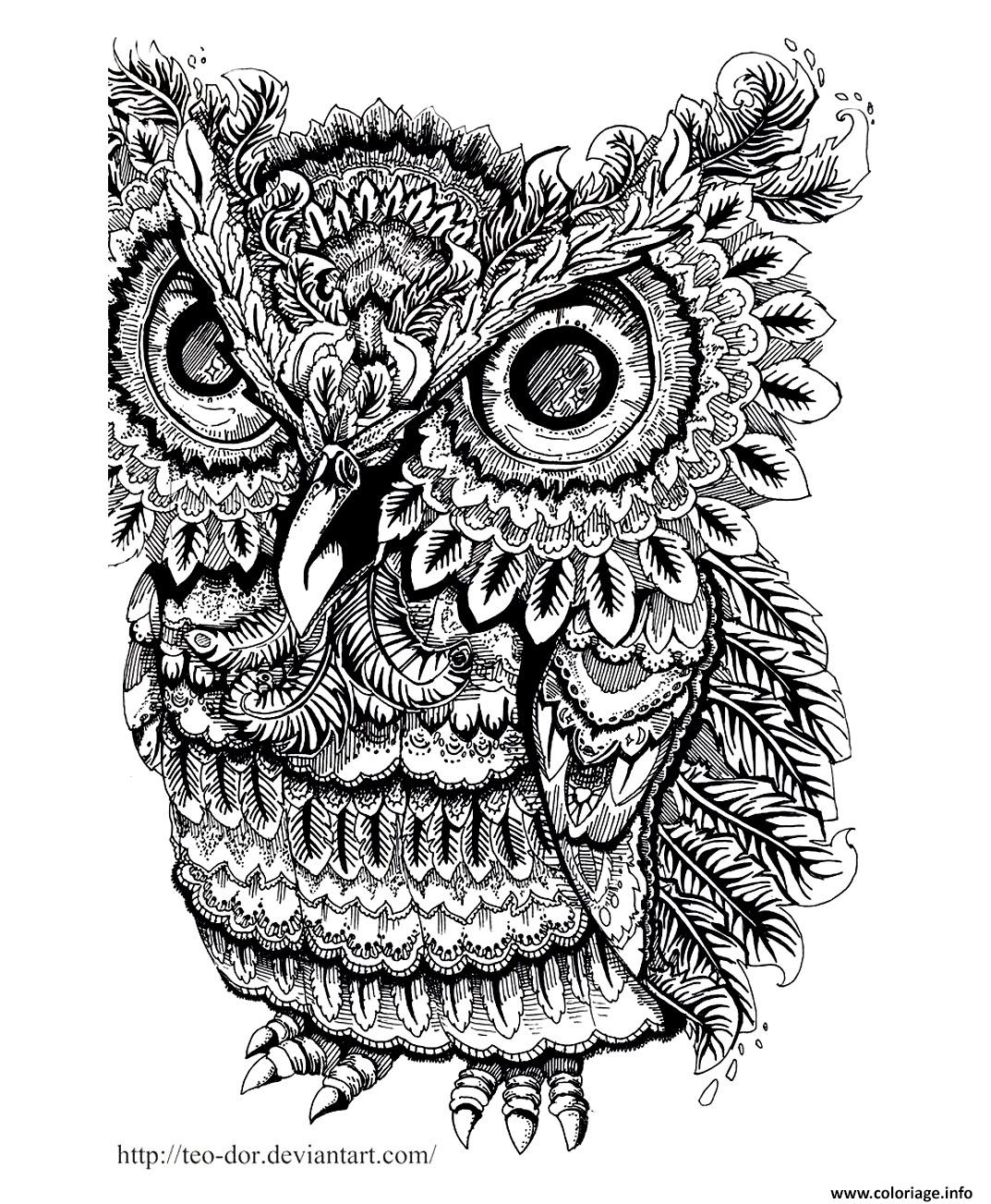 Coloriage Adulte Animaux Hibou Gros Yeux Dessin Adulte Animaux à imprimer