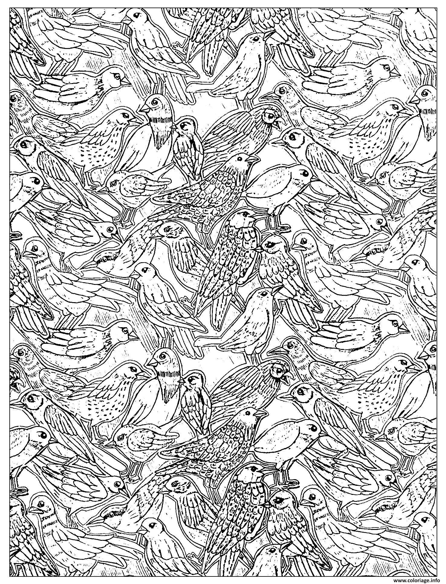 Dessin nombreux oiseaux Coloriage Gratuit à Imprimer