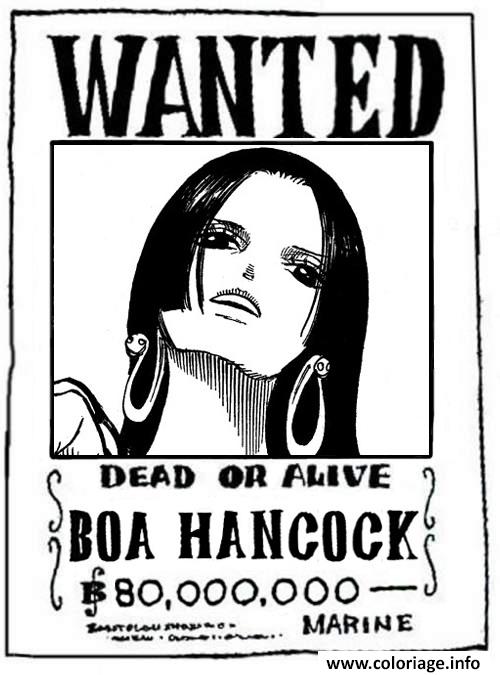 One Piece Wanted Poster Boa 