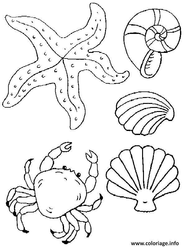 Dessin coquille de plage avec crabe ete Coloriage Gratuit à Imprimer