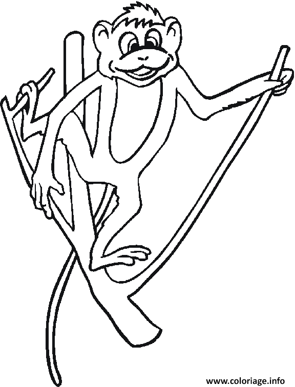 Dessin Simple De Singe Images De Singe Dessin T l chargement Dessin Simple De Singe Images De Singe Dessin T l chargement