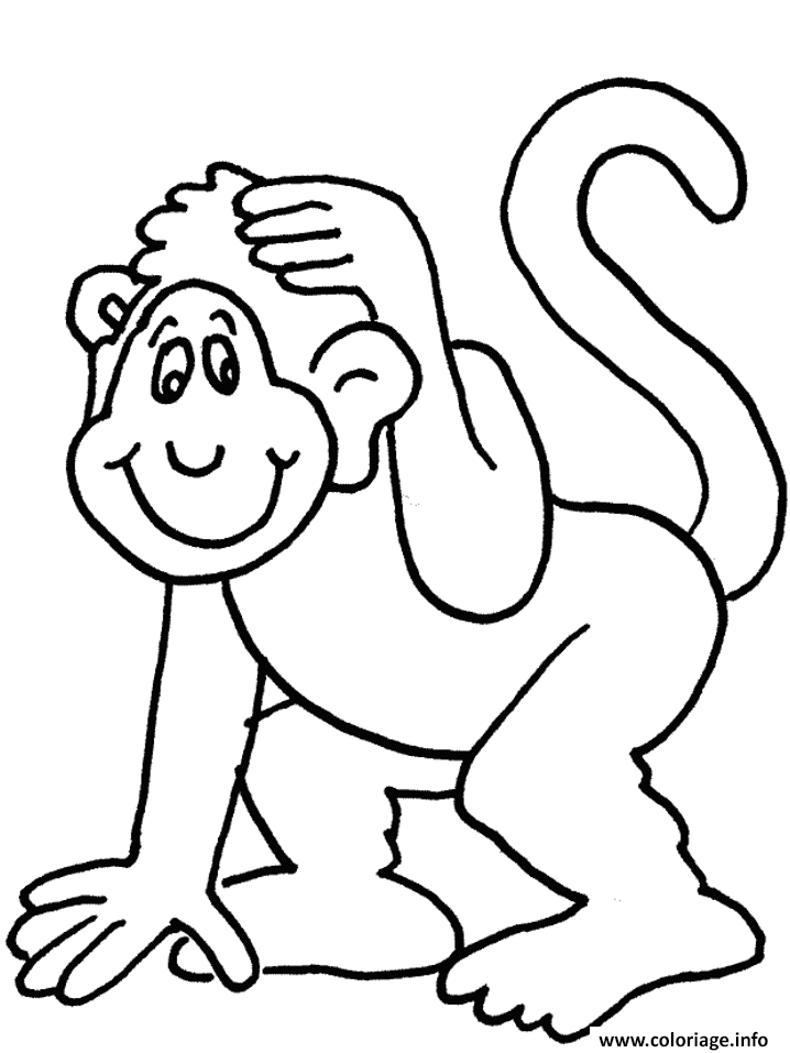 Dessin un singe qui se gratte la tete Coloriage Gratuit à Imprimer