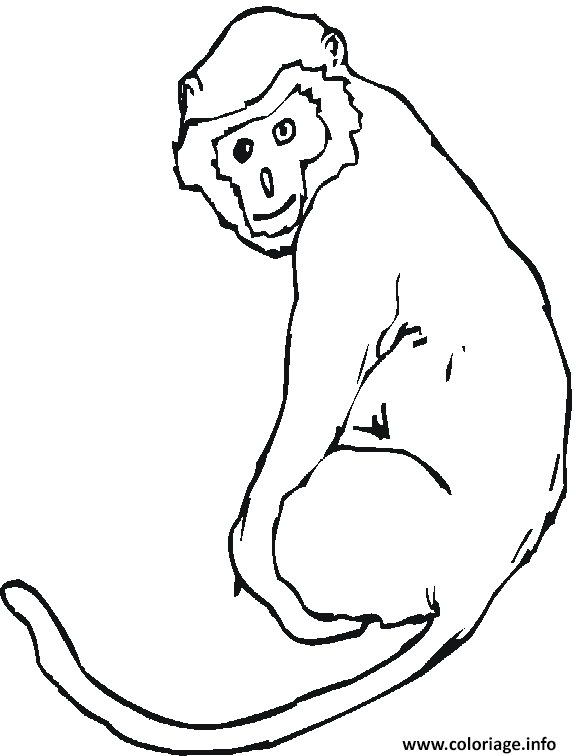Dessin Un singe avec sa queue Coloriage Gratuit à Imprimer
