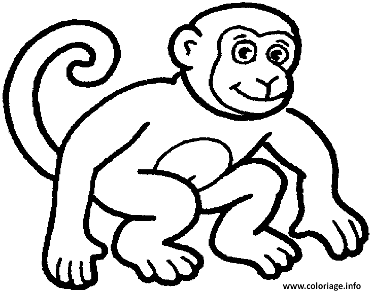 Dessin dessin singe Coloriage Gratuit à Imprimer