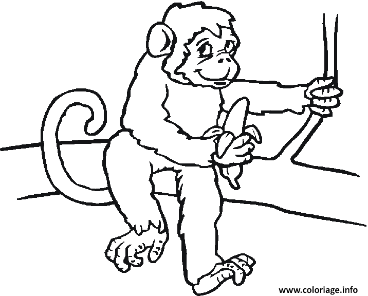 Dessin un singe assis sur une branche avec sa banane Coloriage Gratuit à Imprimer