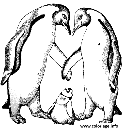 Dessin couple pingouin avec bebe Coloriage Gratuit à Imprimer