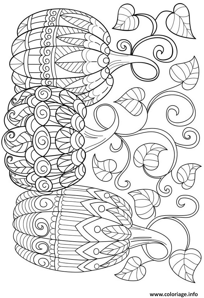 Dessin trois citrouille halloween adulte Coloriage Gratuit à Imprimer