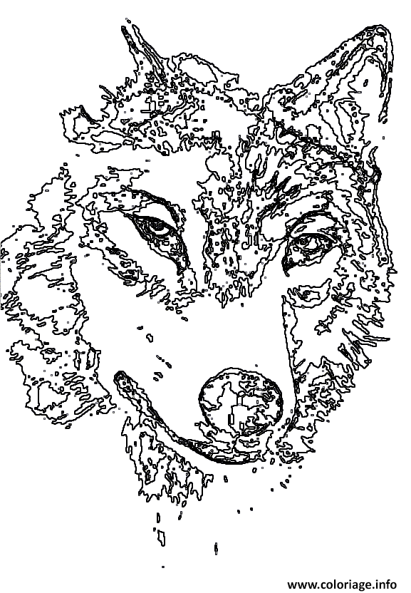 Coloriage Loup Gris Animal Timbre Dessin à Imprimer