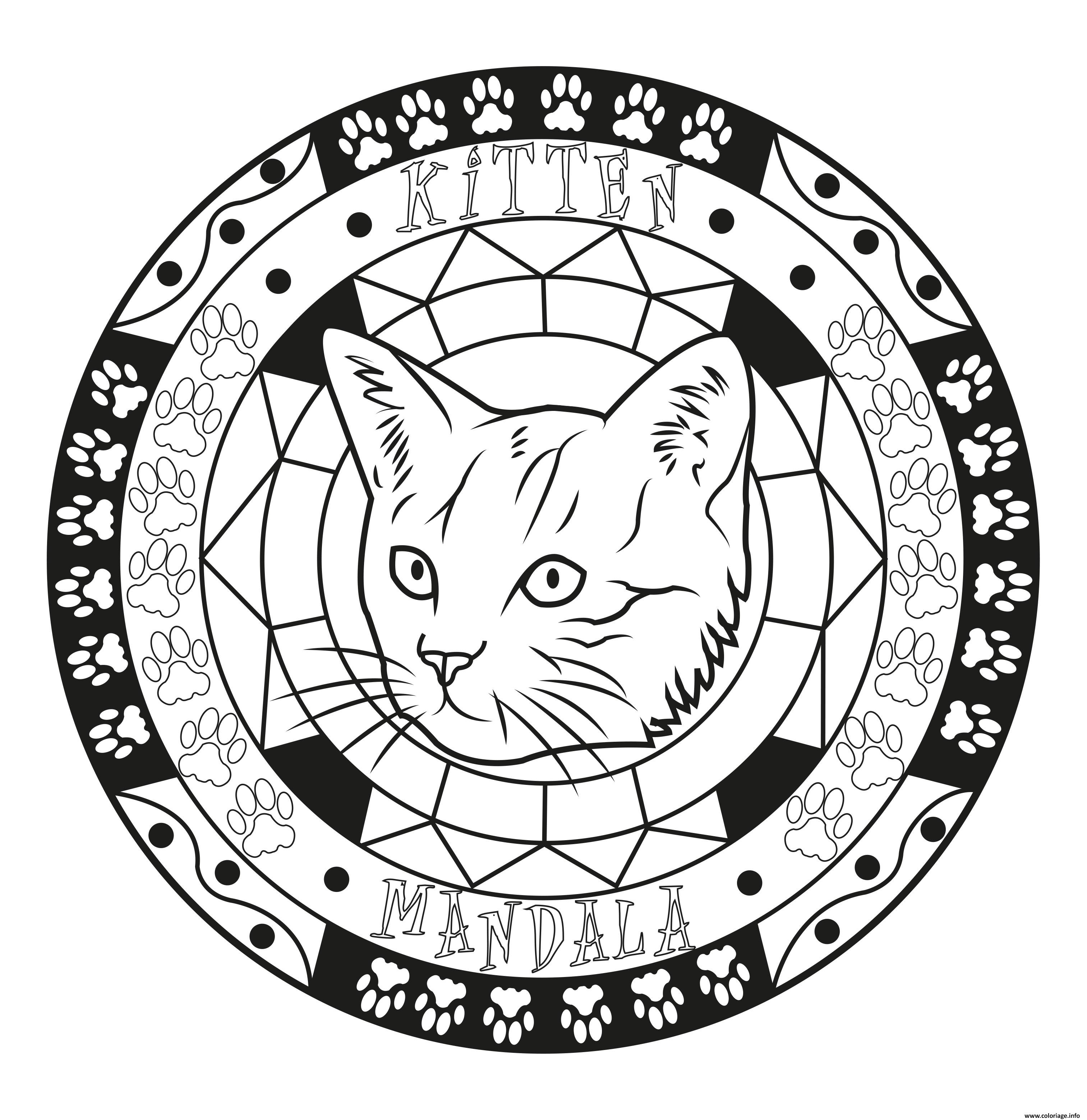 Dessin adulte mandala chat chaton original facile Coloriage Gratuit à Imprimer