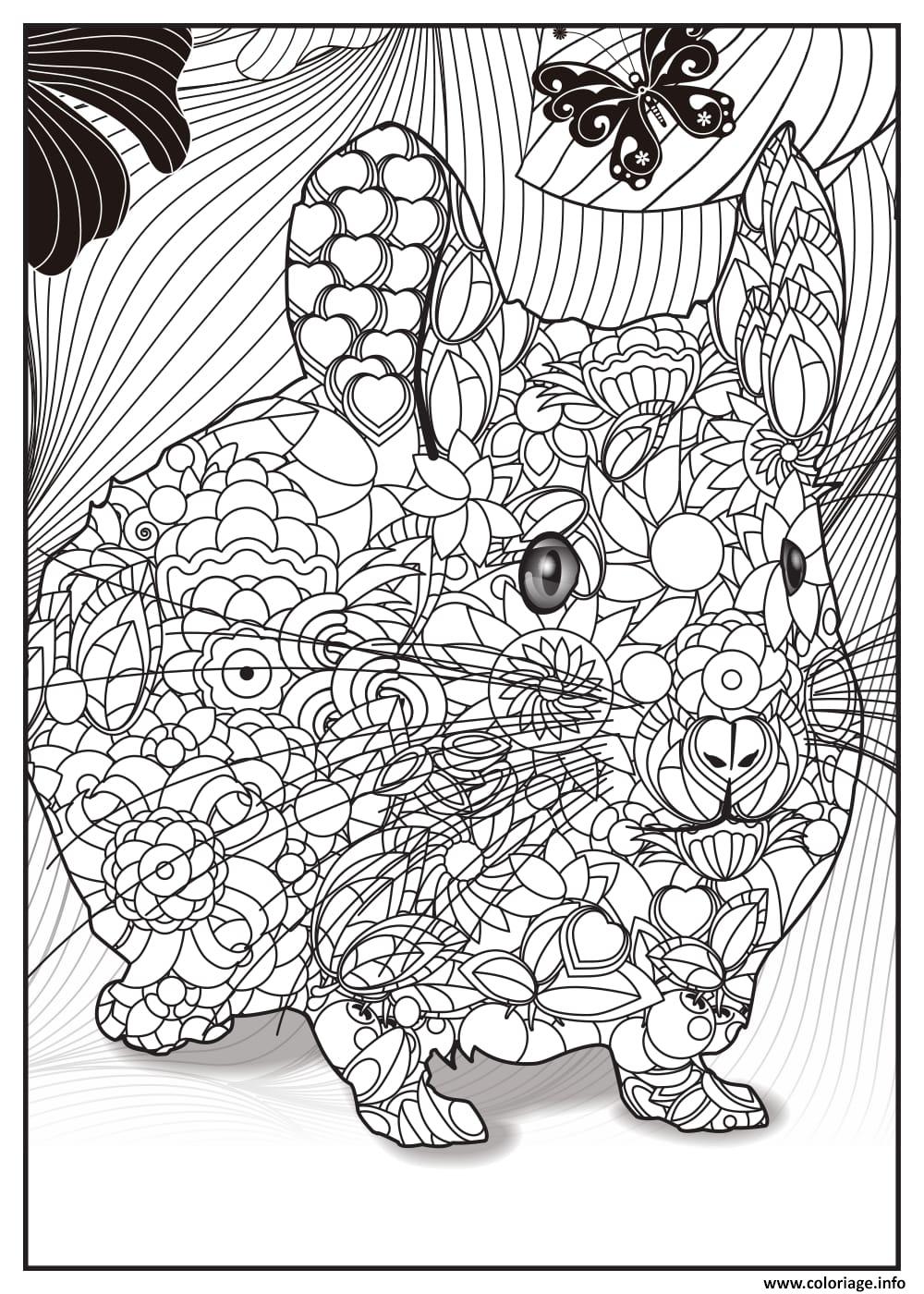 Coloriage A Imprimer D Animaux