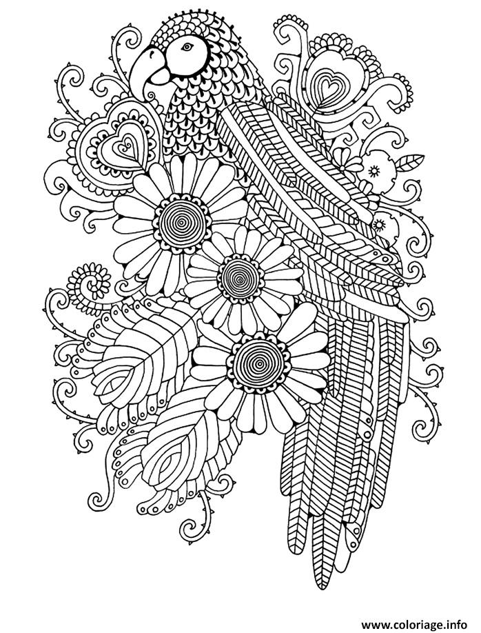 Coloriage Peroquet Fleurs Coeurs Roses Adulte Dessin