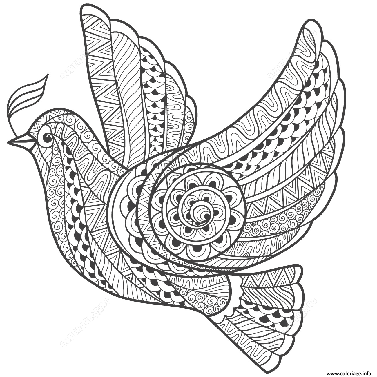 Dessin zentangle dove of peace adulte Coloriage Gratuit à Imprimer