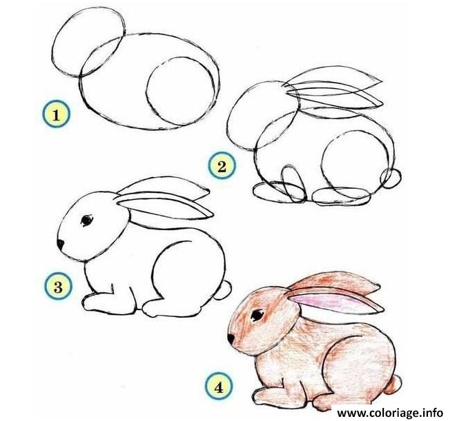 Dessin comment dessiner un lapin etape par etape Coloriage Gratuit à Imprimer