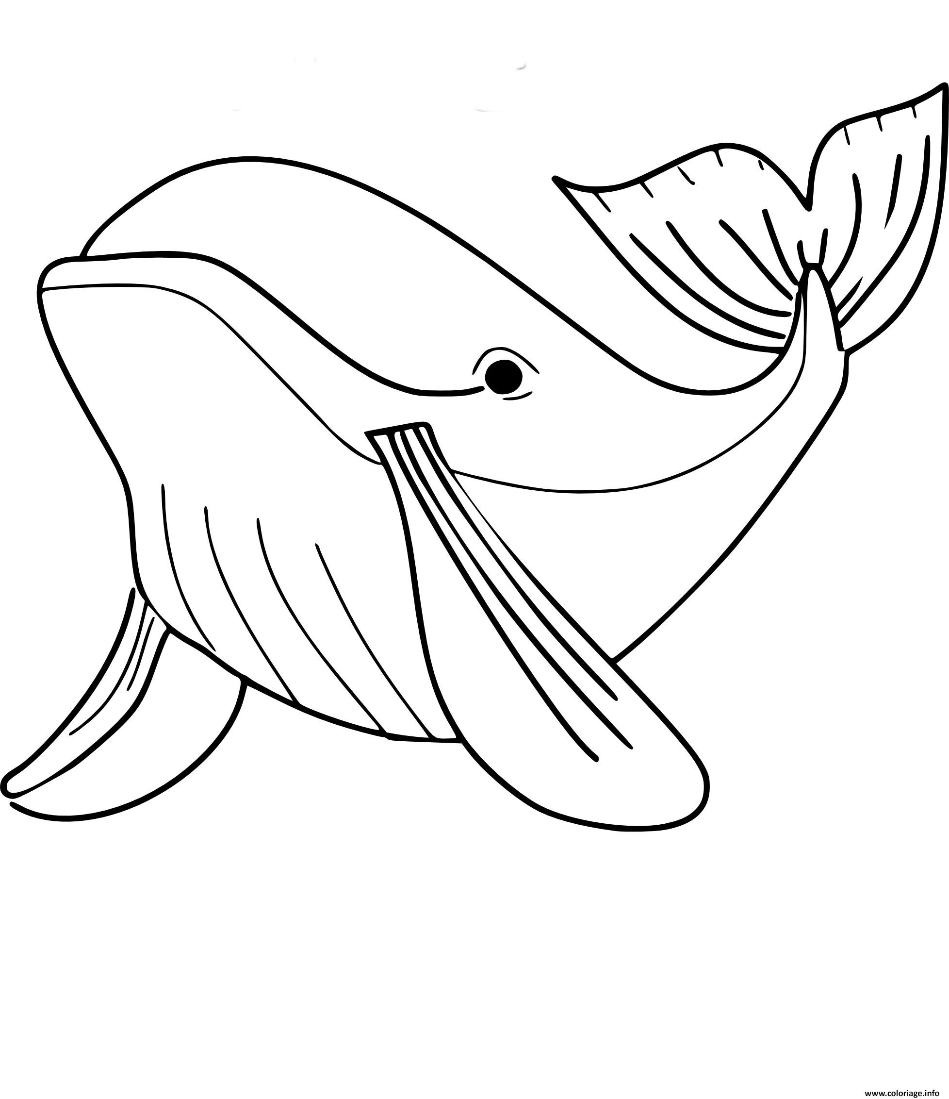 Coloriage A Imprimer Baleine