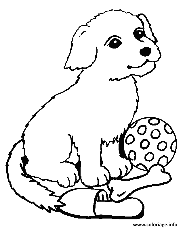 Dessin chien top model avec un os et un ballon Coloriage Gratuit à Imprimer