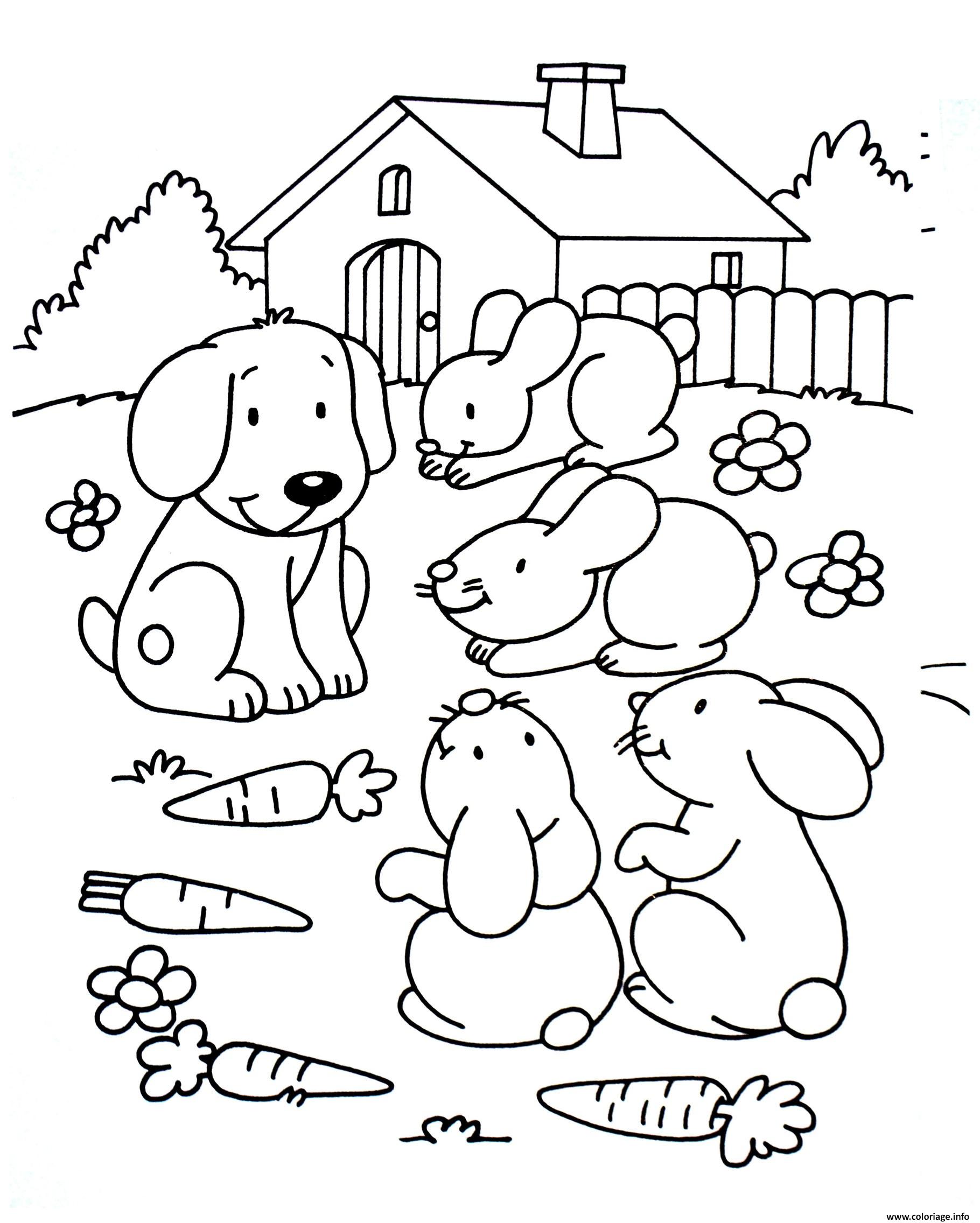 Coloriage A Imprimer Chien Et Chat