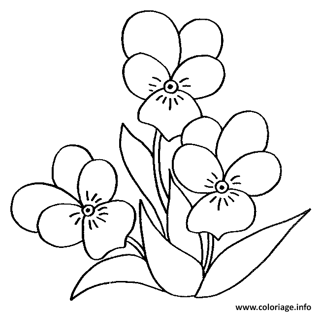 Dessin fleurs printemps maternelle simple facile Coloriage Gratuit à Imprimer