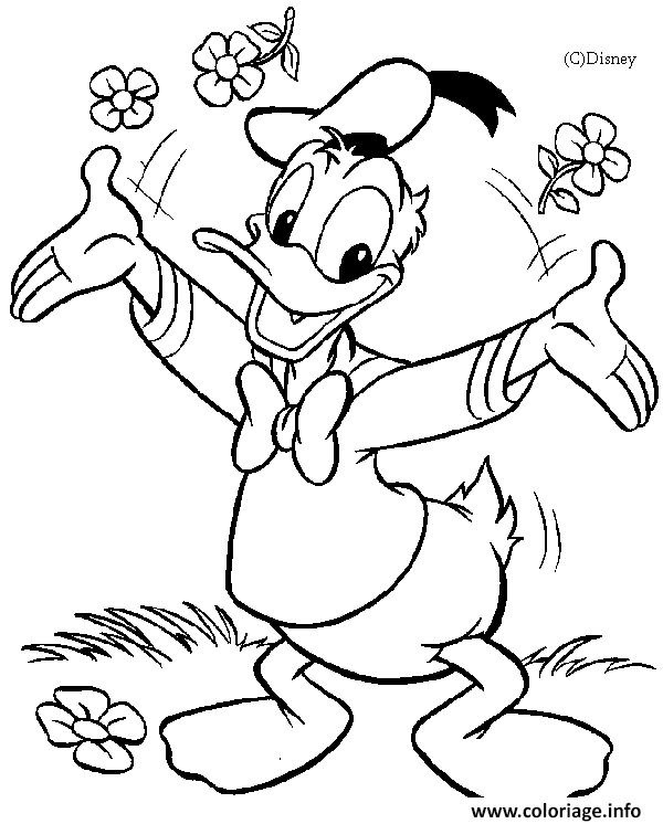 Dessin Donald avec des fleurs Disney Coloriage Gratuit à Imprimer
